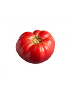 Tomate raf 500 grs. aprox.