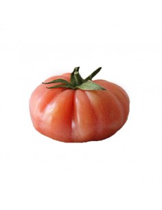 Tomate raf 1 kg. aprox